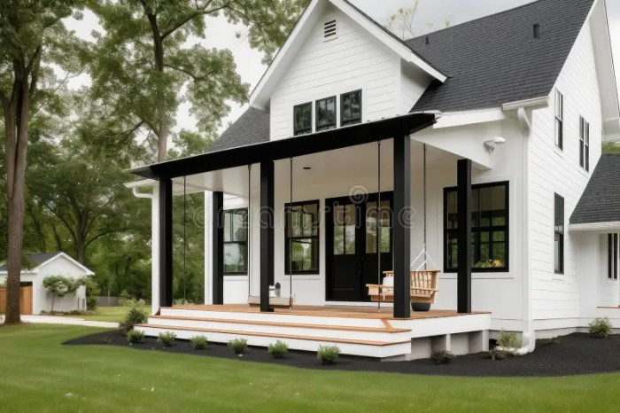 Elegant and Modern Farmhouse Exterior with Black Siding, White Trim ...